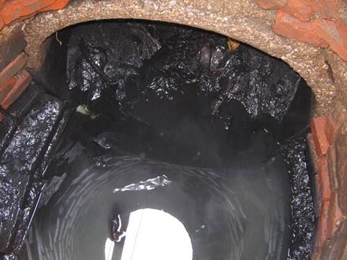 息县污水/雨水井清理